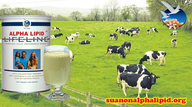 Sữa non alpha lipid Lifeline được nhập khẩu hoàn toàn từ New Zealand