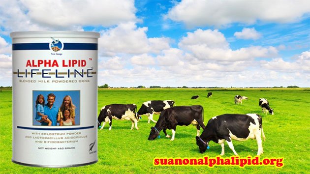 Sản phẩm Sữa non Alpha Lipid lấy từ nguồn bò sữa tự nhiên