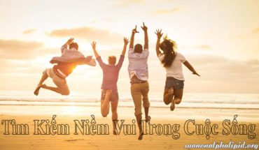 Đừng bao giờ dừng việc tìm kiếm niềm vui trong cuộc sống